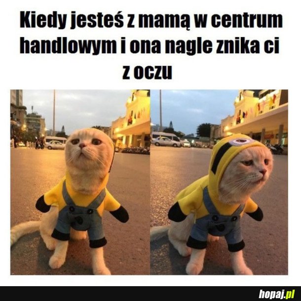 GDZIE SIĘ PODZIAŁA