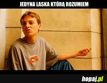 Jedyna laska, którą rozumiem