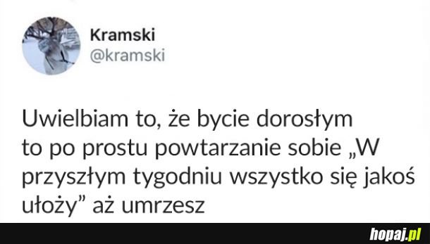  Jakoś to będzie