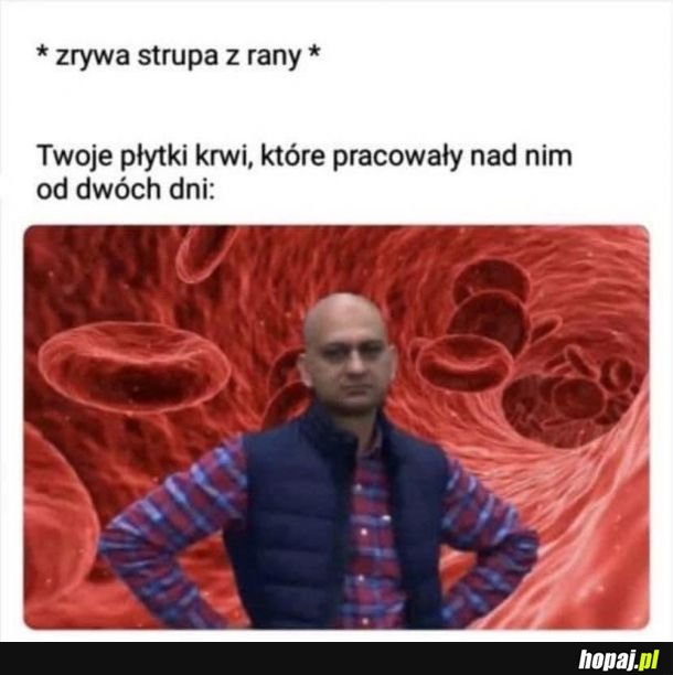 C**j mi w dupę jak zwykle