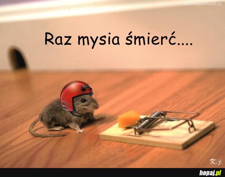 Raz mysia śmierć