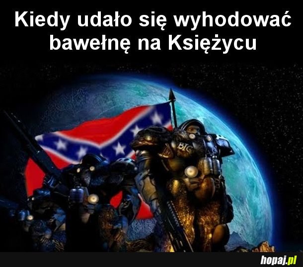 Wreszcie jakieś dobre wiadomości