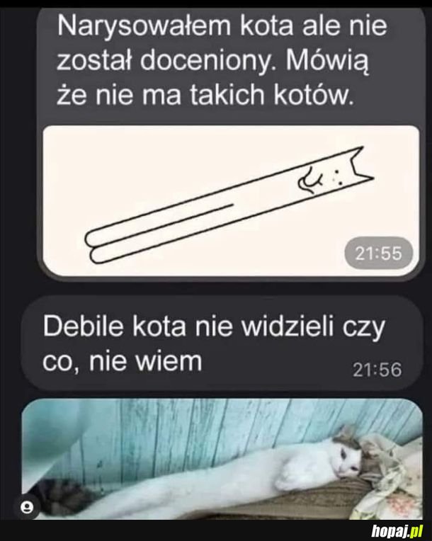 Kot