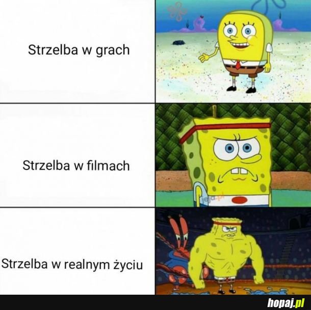 Strzelba