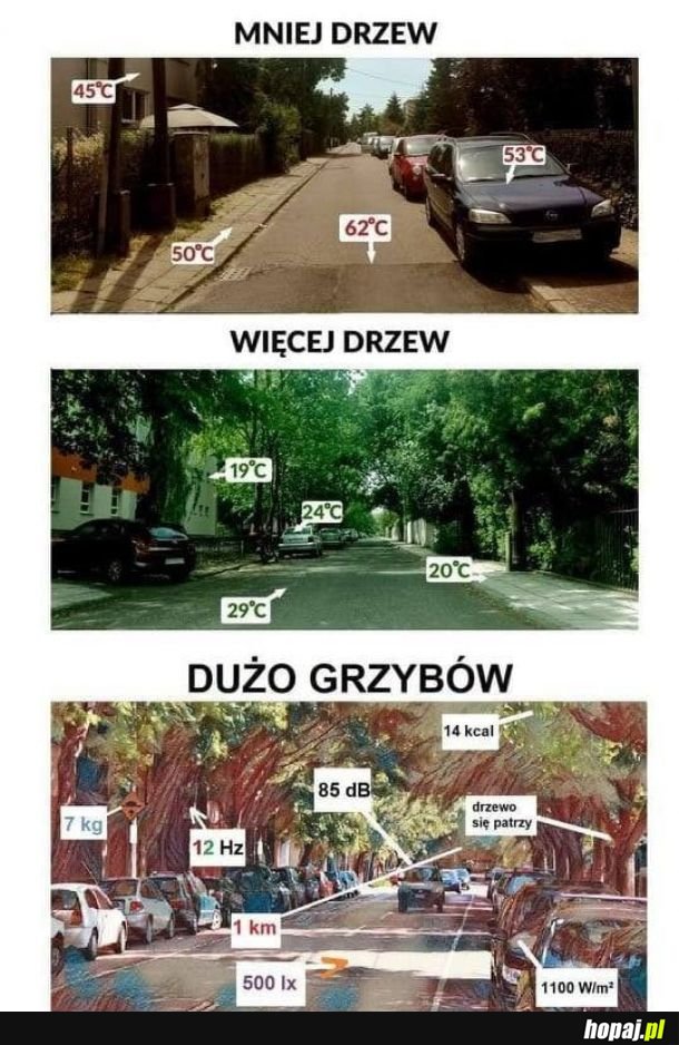 Dużo dobrego i świat piękniejszy