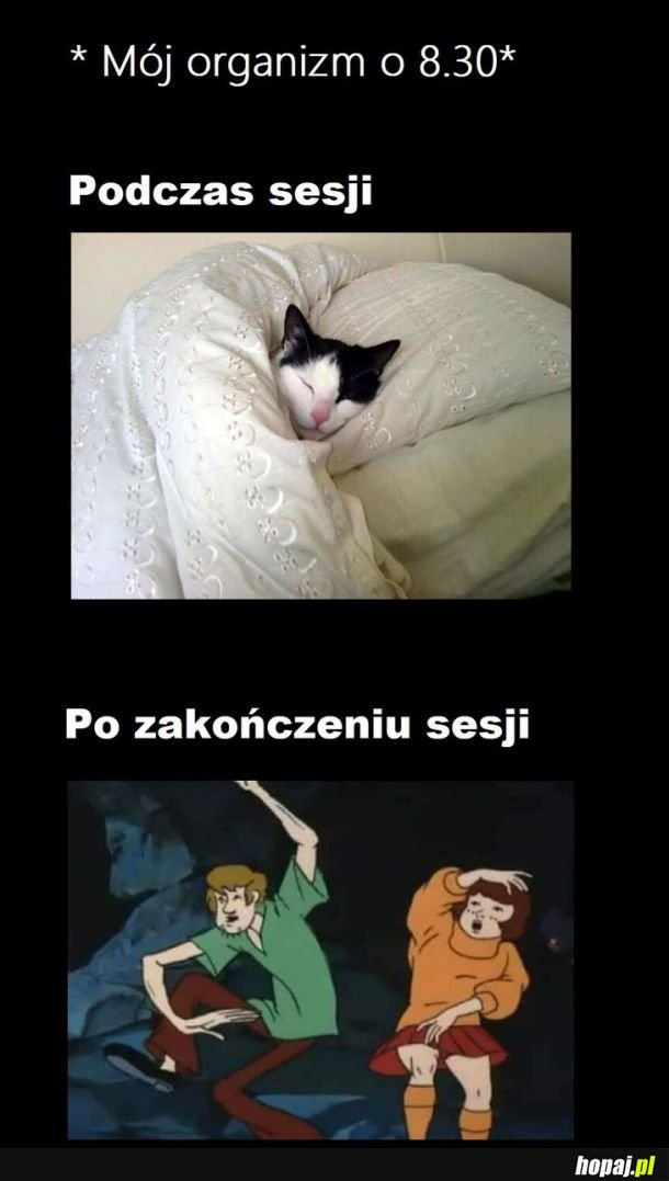 Tak to właśnie wygląda 