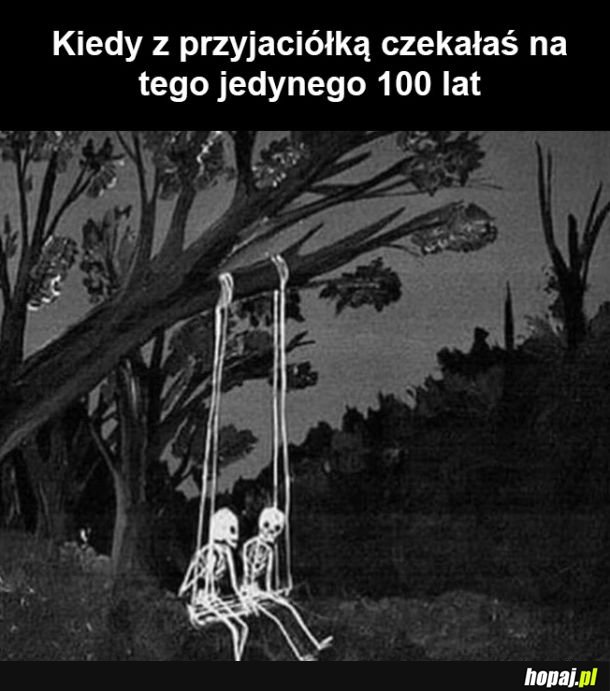 Nie doczekały się 