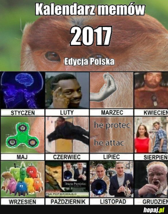 WYPEŁNIONY KALENDARZ MEMÓW 2017, EDYCJA POLSKA