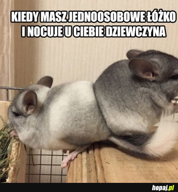 KIEDY MASZ JEDNOOSOBOWE ŁÓŻKO