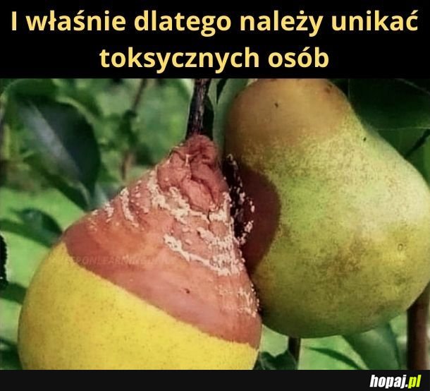 Ufff, dobrze, że nikt nie pokazała tego mojej dziewczynie