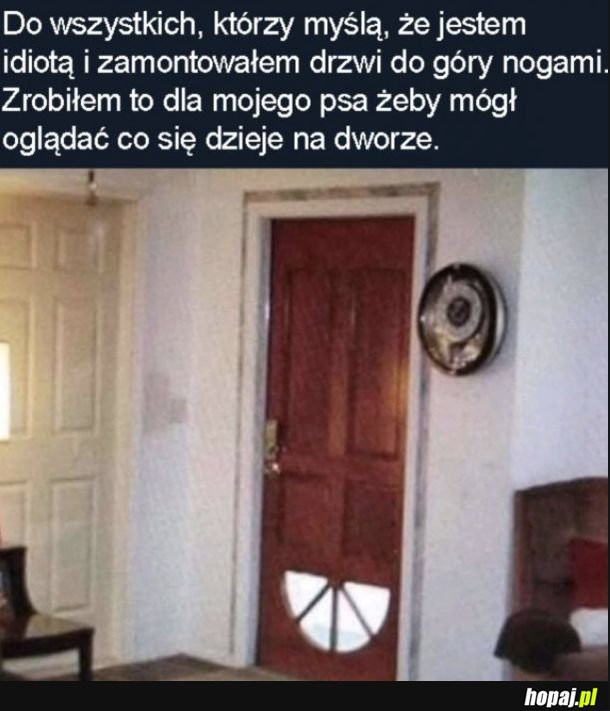 Wszystko dla pieseła