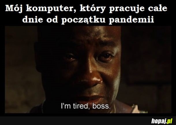 Dziękuję, że działasz