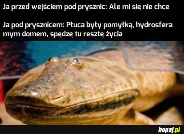Stan pod prysznicem