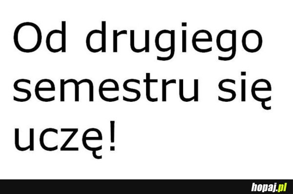 Od drugiego semestru się uczę!