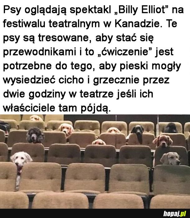 Słodziaki