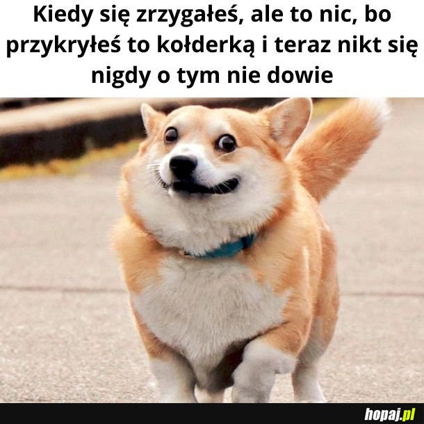 No i fajnie