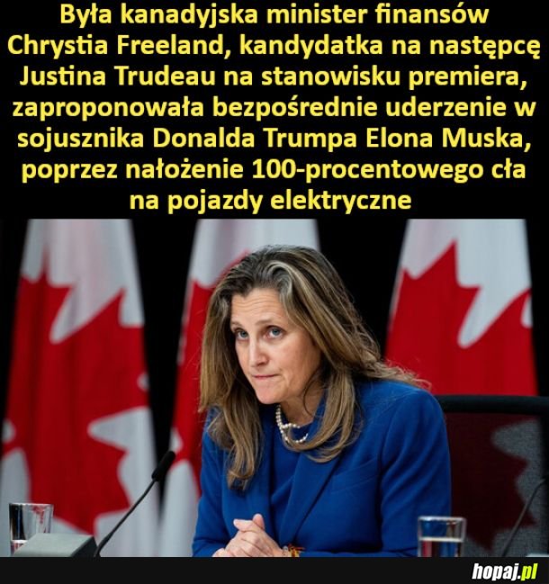 Propozycja byłej kanadyjskiej minister finasów