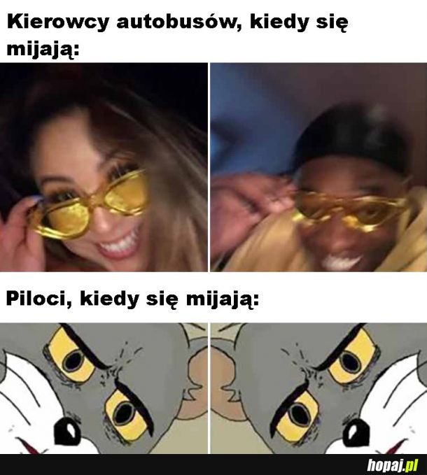 Piloci