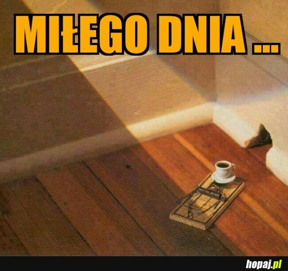 Miłego dnia...