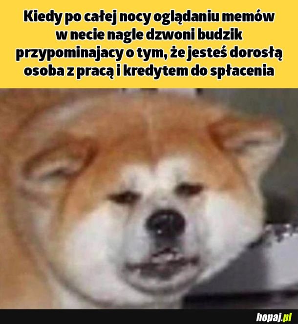 Jak żyć?