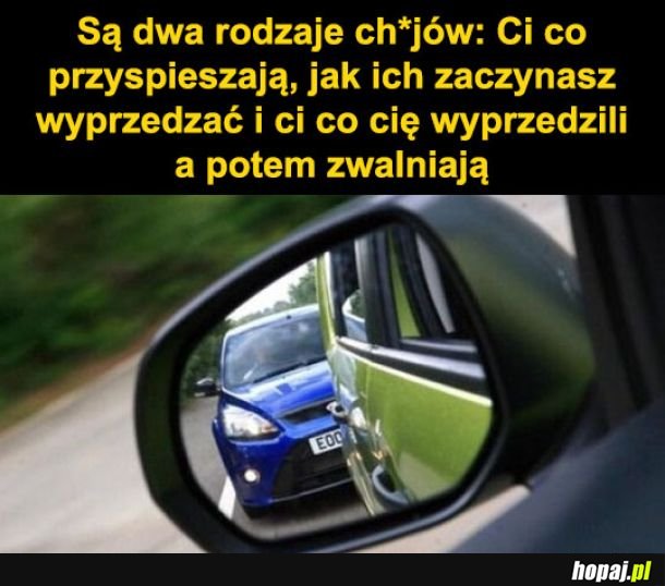 Rodzaje kierowców