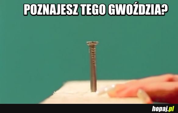 Pamiętasz?