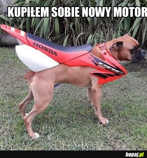 Nowiutki motor