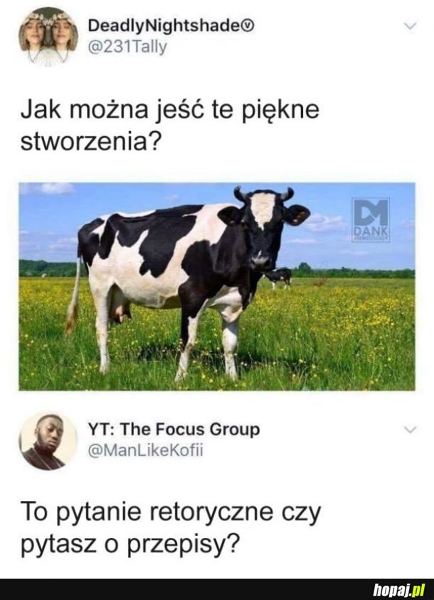 Piękne stworzenia