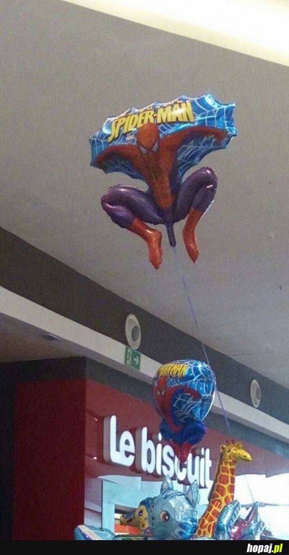CIEKAWY BALON 