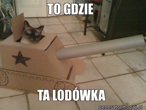 TO GDZIE 