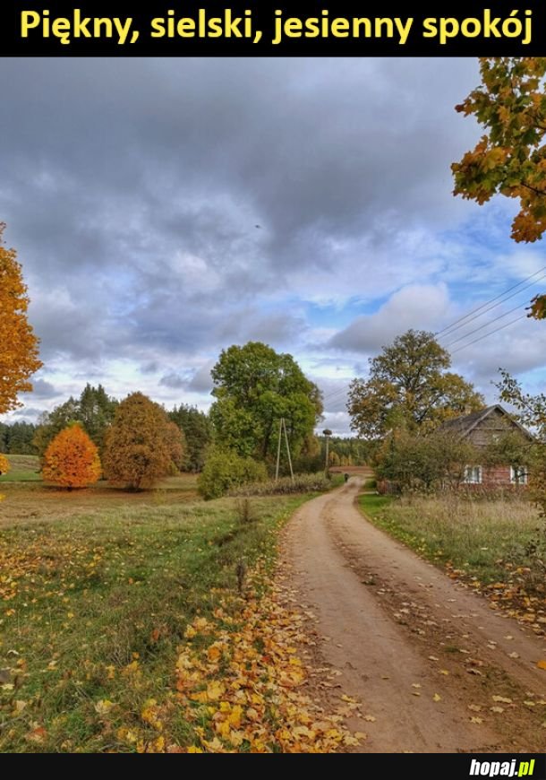 Błogi spokój