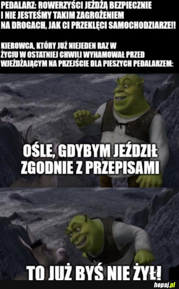 Bardzo bezpieczni ludzie