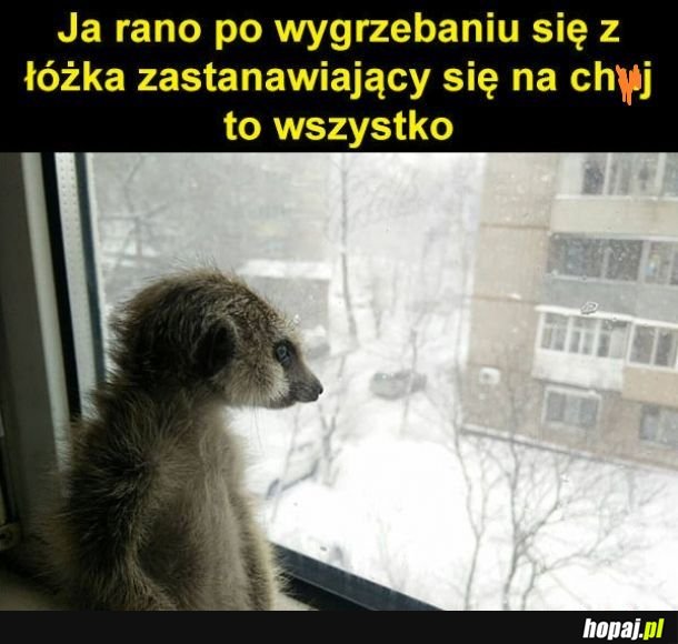Prawda