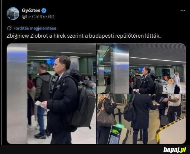 Ciekawe, dokąd poleci