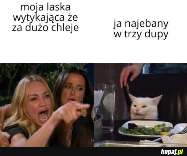 Ja vs moja laska