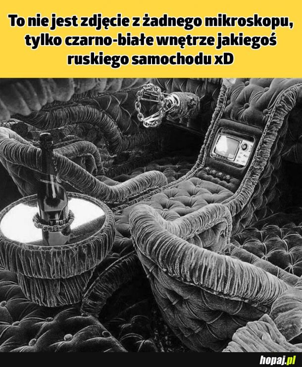 Dziwne zdjęcie