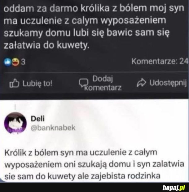 Co tam się dzieje