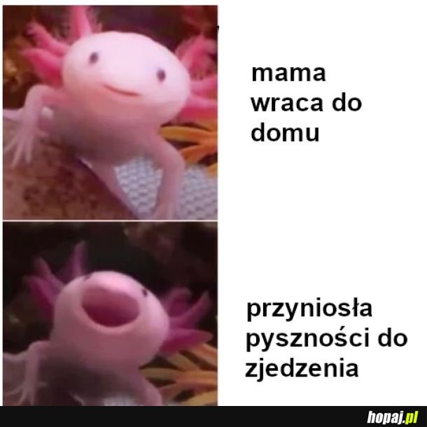 Najlepsza radość
