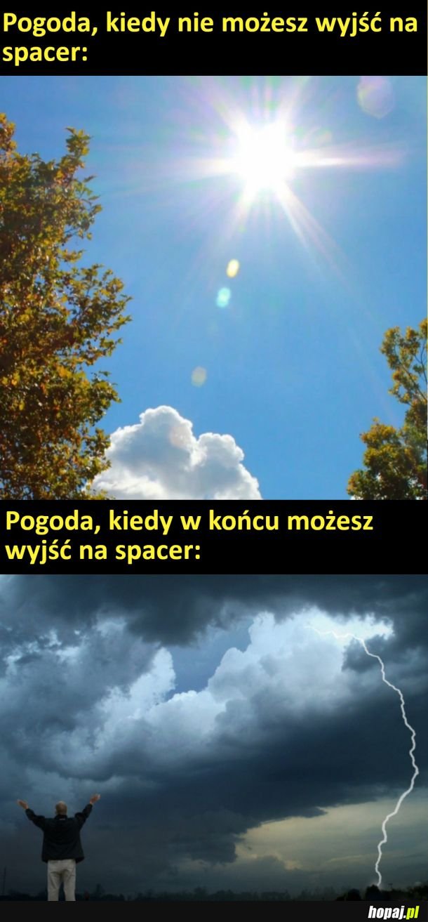 Typowo