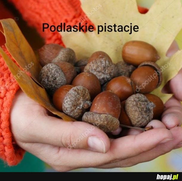 Podlasie już takie jest