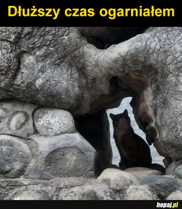 Co tu się