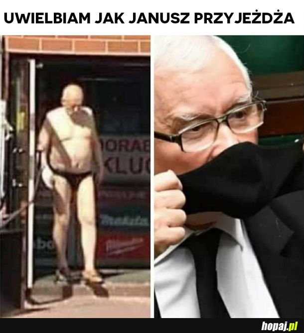 Po prostu uwielbia!