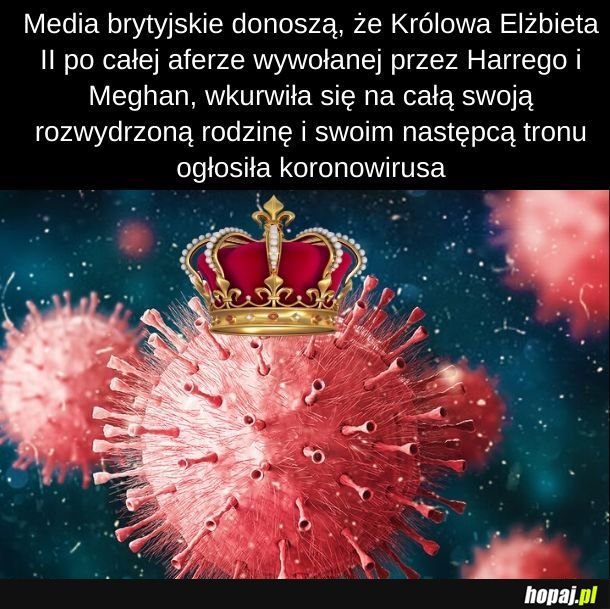 Tak było.