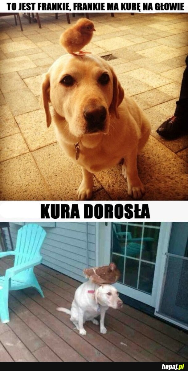 PRZYJACIELE OD LAT