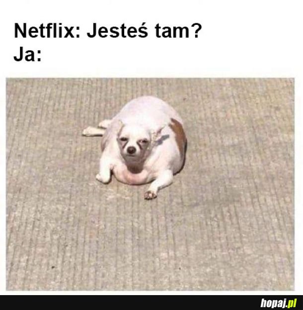 Netflix i ja