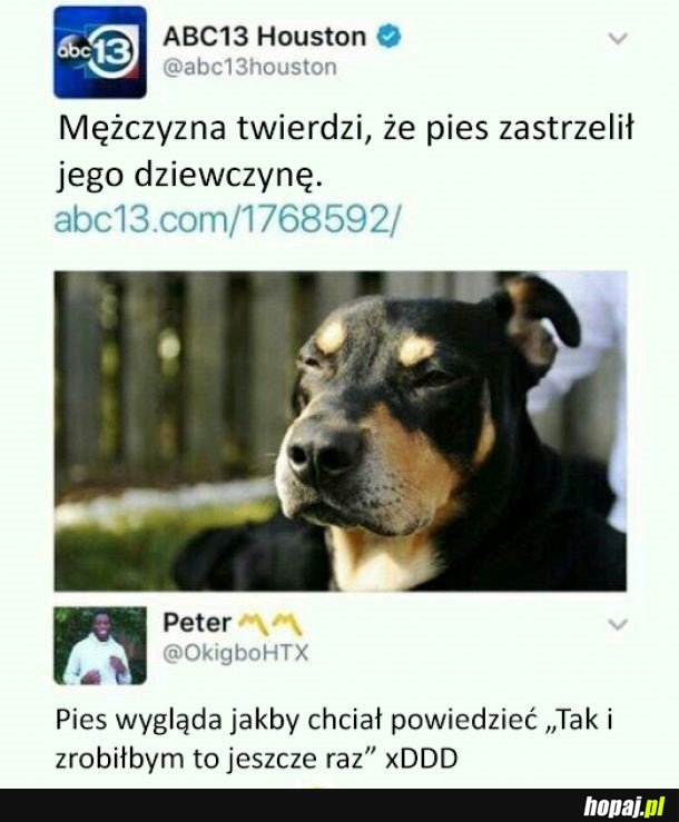 Najlepszy przyjaciel na dobre i złe