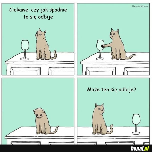 Oto jest pytanie