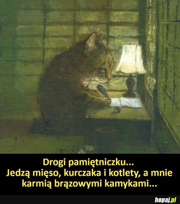 Biedny kiciuś