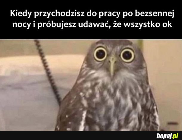 Wcale nie śpię 