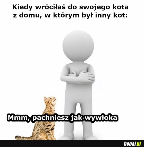 Zdrajca